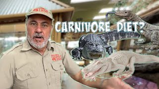 Carnivore Feeding Day at the Zoo! 🐊🍗