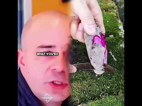 He made me cry so hard😭😭 #motivationalquotes #inspiration #emotional #kindness #raisedarmy #sad