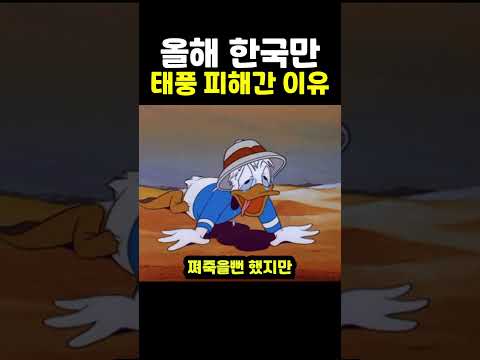 올해 한국만 태풍 피해간 이유