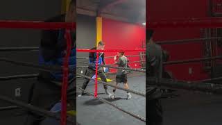 Boxing mitts 8 years old future champion !