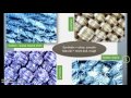 Fiber Analysis Techniques and Characteristics