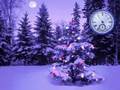 Themes and Emotions in 'Oh Holy Night'