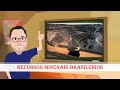 Mineração e Impactos Ambientais no Brasil