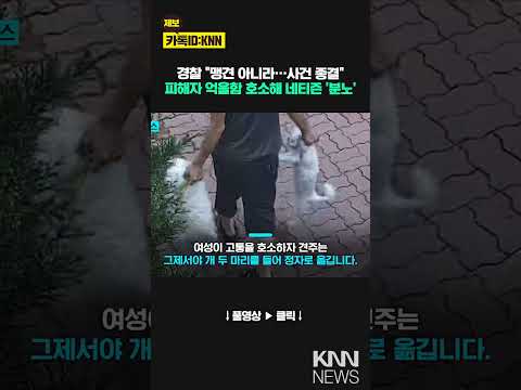 이빨 자국 선명한데 "우리 개가?" 경찰 "맹견 아니라 종결" '황당'/ KNN