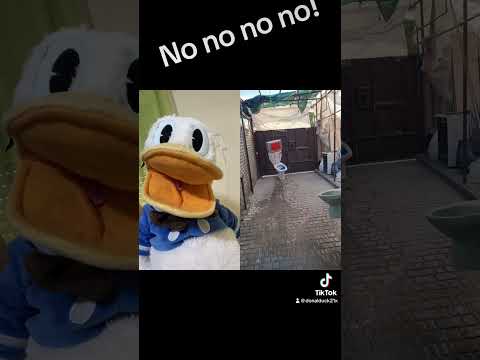 Paperino e la gara dei cessi😂❤️🦆