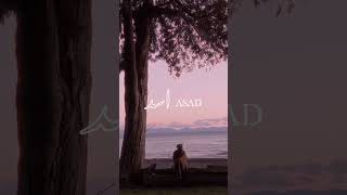 Dil Da Jani (Noor Jahan) - Asad's Remix OUT NOW