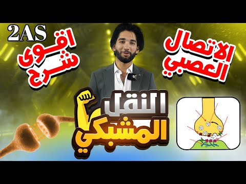 ثانية ثانوي ا أقوى شرح للنقل المشبكي 🤯