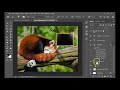 Photoshop Layer Management Techniques