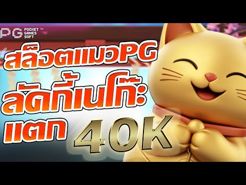 สล็อตยูสใหม่ สล็อตลัคกี้เนโกะ สล็อตแมว pg สล็อตทุน100 สล็อตแตกแสน