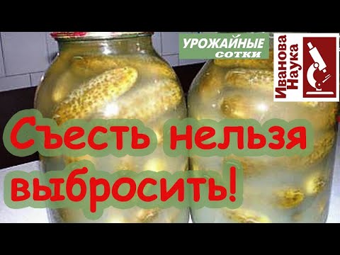 Как не отравиться? Домашние консервы: съесть или выбросить? Ботулизм или чтото другое?