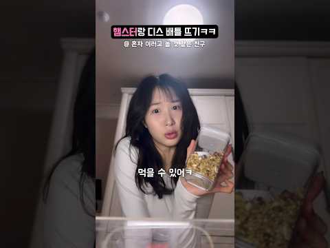 햄스터 집사는 혼자 이러고 논다