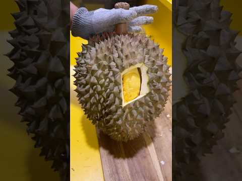 DURIAN BAWOR JUMBO UNTUK TETEH RIMA #durian #masduren