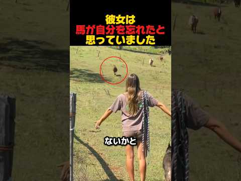 彼女は馬が自分を忘れたと思っていました #感動する話 #感動