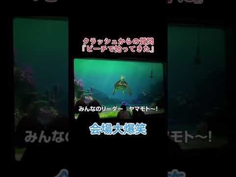 【タートルトーク】クラッシュから逆質問『ビーチで拾ったけど、これ何?』【会場爆笑】
