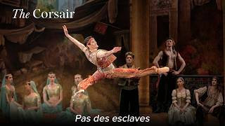 Pas des esclaves – THE CORSAIR Adam – Estonian National Ballet
