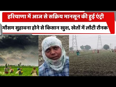 हरियाणा में आज से सक्रिय मानसून की हुई एंट्री, मौसम सुहावना होने से किसान खुश, खेतों में लौटी रौनक