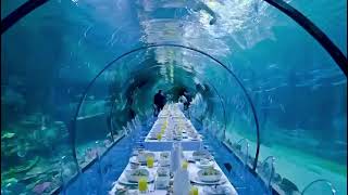 Captivating Venue for Your Private Event in Abu Dhabi