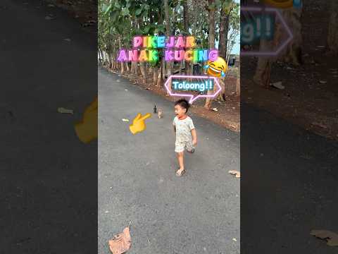 SI BOCIL DISERANG ANAK KUCING, ketakutan sampai nangis 😂 #shorts #anakkucinglucu