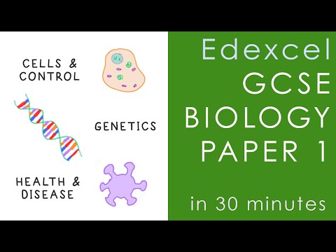 All of Edexcel BIOLOGY Paper 1 in 30 minutes - GCSE Science Revision