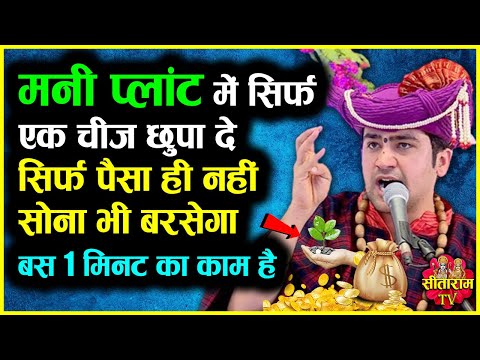 मनी प्लांट में सिर्फ एक चीज छुपा दे | Vastu Tips For Wealth | Bageshwar Dham Sarkar ke Upay
