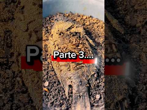 Olha oque esses bichos fez com o peixe #parte 2