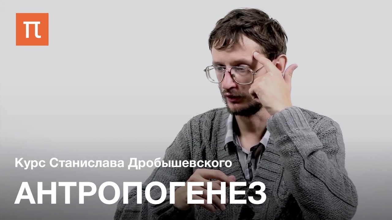 Антропогенез - курс Станислава Дробышевского