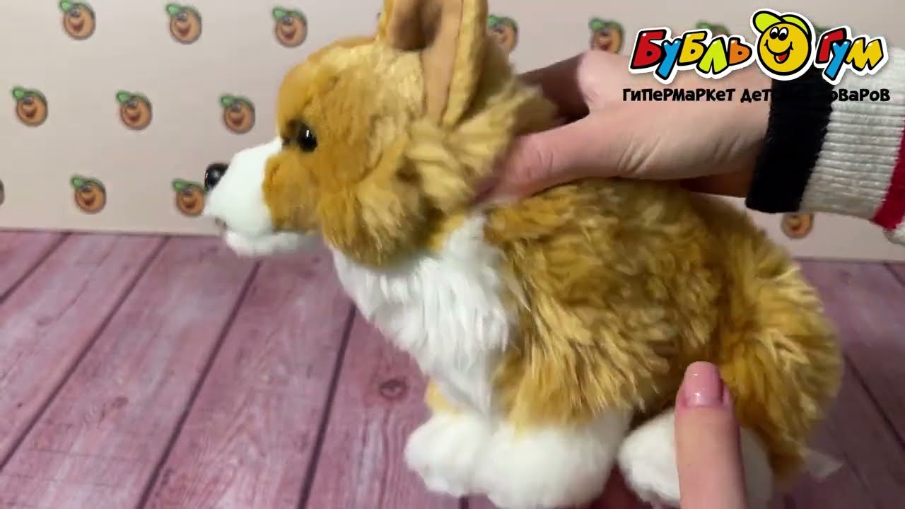 Игрушка мягкая собака корги 23см - видео Игрушка мягкая собака корги 23см - видео