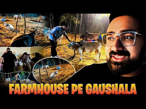 FARMHOUSE PE GAUSHALA BANA DI 😍