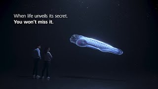 ZEISS LSM with Lightfield 4D | Capture Spatial Signals and Fast Dynamics Without Compromise