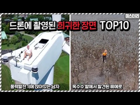 드론에 촬영된 생각지도 못했던 희귀한 장면들 TOP10