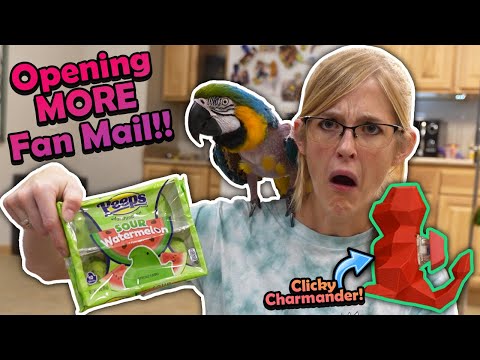 Watermelon Peeps in our Mail? (Fan Mail 28- Part 2!)