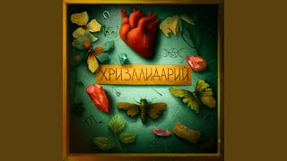 Чёрная кошка