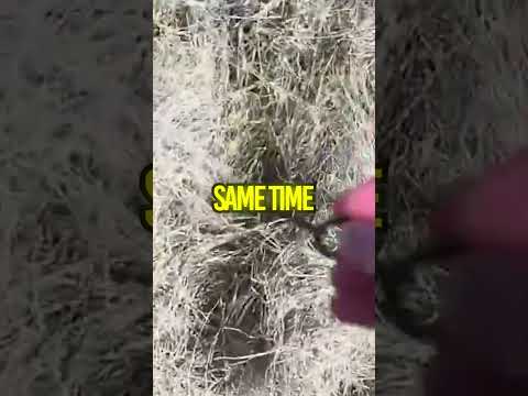 Jacob Threw The Key Away… Now They’re Stuck