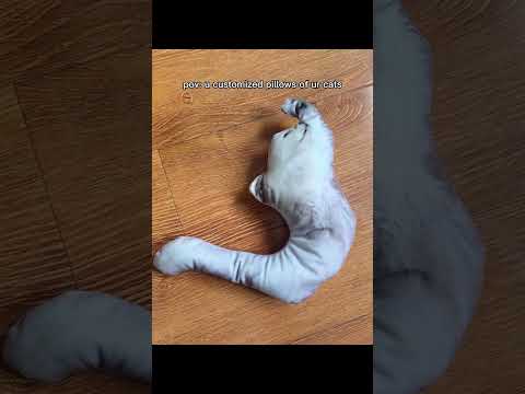 https://uglycat.club/products/uglycat