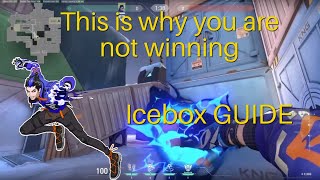 BEST Yoru GUIDE for Icebox