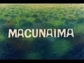 Macunaíma: Themes and Character Analysis