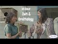 Owls: Facts and Conservation