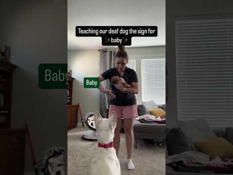 Faith meeting the newest member of our family!