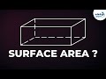 Lateral Surface Area of Cuboids