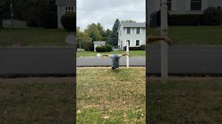 If people swam instead of walked