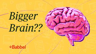 What Happens To Your Brain When You Learn a Language?
