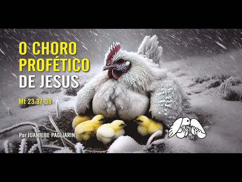 O CHORO PROFETICO DE JESUS