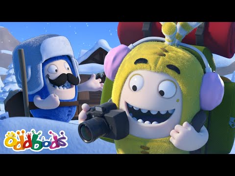 Travessuras no Ártico! 🏔❄ | Oddbods Brasil | Desenhos Animados Engraçados em Português