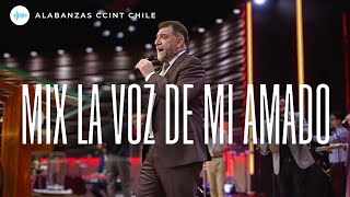 MIX JÚBILO // Melodía de Unción, La Voz de Mi Amado, Libertad - Billy Bunster y Alabanza Ccint