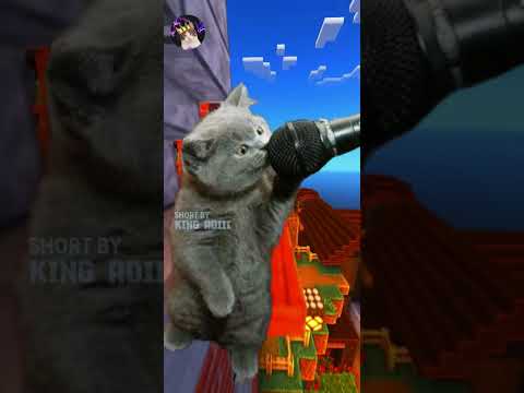 Lu Ketawa, Lu Harus Lempar HP - Tahan Tawa Part 43 #shorts