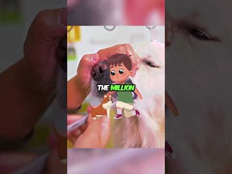 The million dollar dog changes the kid's life😵