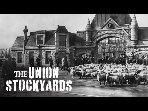 YouTube video thumbnail: The Union Stockyards — A Chicago Stories Documentary