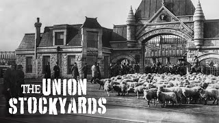 YouTube video thumbnail: The Union Stockyards — A Chicago Stories Documentary