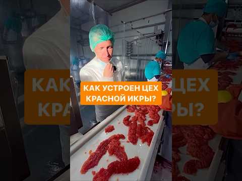 Икра какой рыбы ваша любимая? А может вообще не любите? #нашпотребнадзор #лосось #икра #краснаяикра