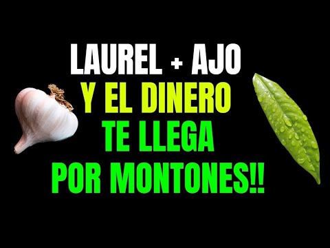 UTILIZA LAUREL + AJO Y EL DINERO TE LLEGA POR MONTONES!!